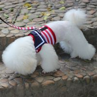 红/魔术贴无扣/送牵引绳 M((建议体重6斤以下使用) 宠物狗狗牵引绳胸背带中小型犬 小鹿犬吉娃娃狗绳子泰迪狗链幼犬