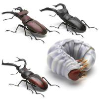 万代 随机3款不重复 58923 扭蛋 生物大图鉴02 甲虫锹形虫 独角仙 仿生昆虫