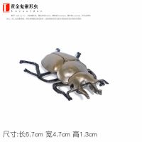 黄金鬼锹形虫 小号 仿真甲虫玩具动物模型昆虫天牛锹甲锹形虫兜虫独角仙儿童认知礼物
