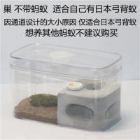 工坊不带蚂蚁 蚂蚁工坊生态泥土巢王国儿童城堡家园别墅宫殿蚁巢小号繁殖版豪华