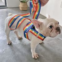 B47 单个牵引绳 背心式狗狗牵引绳泰迪柯基金毛法斗中大型犬胸背带遛狗绳链子用品