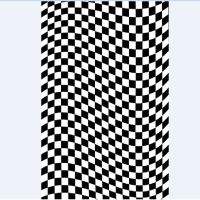 扭曲黑白 60cm*100cm 棋盘格客厅茶几地毯绿白格子现代简约ins风摩洛哥 复古我是床边毯