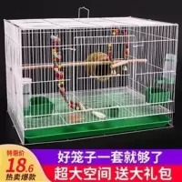 小单笼:27*22*28随机色 鹦鹉活鸟鸟笼子八哥玄凤虎皮鹌鹑超大特大号家用养殖繁殖笼鸽子笼