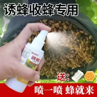 单瓶招蜂水[送蜂蜡] 诱蜂笼招蜂水诱蜂水套餐野外诱蜂套餐诱蜂蜡中蜂野蜂用收蜂工具