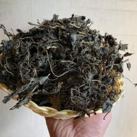 亏本装200克食用型 马齿笕干 脱水野菜干马齿菜 马齿苋 长寿菜 蚂蚱菜马蜂菜包子食材