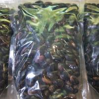 1斤 四川达州万源特产蜂桶岩豆干货大巴山富硒茶都自然生长散装500克