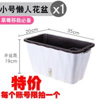 特价小号1个(限拍2个) 懒人种菜花盆种菜神器自吸水花盆特大花槽阳台盆栽塑料树脂绿萝盆