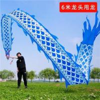 青花瓷-6米 舞龙彩带健身耍龙广场甩龙彩条手舞初学成人中老年布龙带龙头