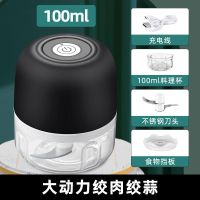100ML黑[送挡板+绞肉蒜_c 电动蒜泥神器绞肉搅蒜机蒜蓉厨房捣蒜打蒜器自动搅蒜拉蒜家用小型