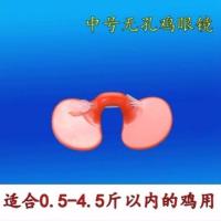 20套 小号卡式 公鸡眼镜土鸡防啄鸡眼罩小鸡眼镜大中号带孔鸡用眼镜