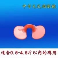 20套 小号卡式 公鸡眼镜土鸡防啄鸡眼罩小鸡眼镜大中号带孔鸡用眼镜