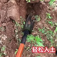 单木把(不含锹) 洛阳铲尖铲尖锹取土打洞神器挖白薯锹挖沟锹长筒锹