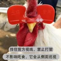 鸡眼镜大号不带孔(500套) 鸡眼镜防啄打架通用鸡用眼镜鸡眼镜眼罩防打架带孔大号土鸡公鸡眼