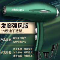 原装进口AC-暗夜绿—送3 10年免费换新 德国发廊电吹风机家用理发店专用大功率3000W负离子护发静音风筒