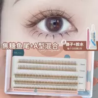 焦糖A型+鱼尾混合 焦糖棕色A型鱼尾混合仙女眼睫毛仙子毛自粘假睫毛女单簇嫁接自然