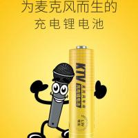 2颗5号麦克风锂电池[不带充电器] 5号1.5v锂电池大容量1.5伏充电电池水牙线冲牙器鼠标相机电池