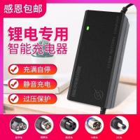 原装全新24V2A(输出29.4V) 国标 小麦头 锂电池电动车充电器48V36V60V24V2A72V3A电车锂离子哈
