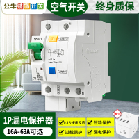 16A 1P 漏电保护器带空气开关家用电闸空开漏保空调过载1P漏电断路器