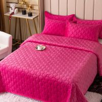 直边款-玫红色 60X110cm颜色随机直边包边 冬季水晶绒保暖床单被套床盖夹棉枕套毛毯单双人法兰绒毯子三件套