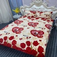 快乐空间 1.2床三件套[被套150*200] 加厚金貂绒四件套保暖珊瑚绒三件套金丝绒床裙款四件套床上用品