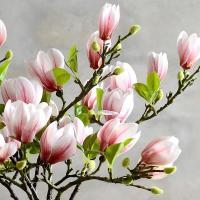 粉色5支 高档手感玉兰花仿真花束假花客厅摆件装饰花艺餐桌电视柜绢花插花