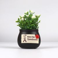 [黑色]吉祥果 [1只装]不带香薰棒 吉祥果汽车摆件创意个性中控台装饰可放香水香薰仿真花车内饰品女