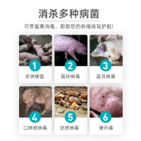 东方澳龙复合粉泡腾片环境消毒杀菌消毒液猫狗猪用兽用