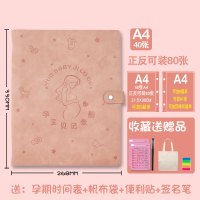 孕宝-公主粉[正反可装80张] 孕妈妈检查单产检收纳册便携怀孕B超检查单孕检资料收纳袋虎宝宝孕检活页手册本报告单子孕期记