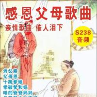 128M 内存卡 135首 感恩父母歌曲老父亲父母恩孝敬爹妈十跪爹娘 音频MP3 TF内存卡U盘