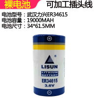 平头 LISUN D/er34615 3.6v电池 物联网 燃气表流量计D型1号锂电池