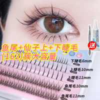 眼尾拉长款 10mm 鱼尾+上下仙子毛 假睫毛仙子下睫毛自然款自粘嫁接睫毛套装自己接