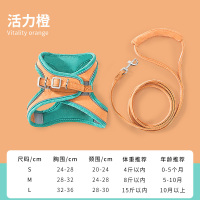 绿橙拼接-(建议测量后绳长1.5M) S小型(适合4斤内) 猫咪牵引绳背心式胸背带防挣脱可爱外出狗狗牵引绳遛猫绳子遛