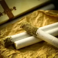 北京艾绒14.5g*10支/盒家用艾条艾柱艾灸柱艾灸条艾灸棒
