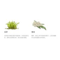 印度喜马拉雅损伤修复蛋白质护发素Conditioner  200 ml
