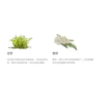 印度喜马拉雅损伤修复蛋白质护发素Conditioner  200 ml