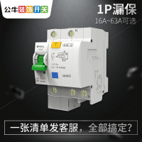 16A 1P 漏电保护器带空气开关家用电闸空开漏保空调过载1P漏电断路器