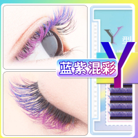 彩色款 8mm 郁金香彩色睫毛y型嫁接睫毛编织爱情网yy形半紫色半蓝色混彩开花