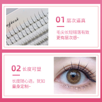 仙子鱼尾混合款假睫毛嫁接超自然仿真女单簇仙子毛单簇仙女睫毛C