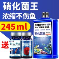 硝化菌王245ml 即送[养鱼片50片+特清粉50克 硝化细菌鱼缸用硝化菌消化懒人养鱼用品净水片特清清澈澄清净水剂