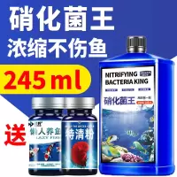 硝化菌王245ml 即送[养鱼片50片+特清粉50克 硝化细菌鱼缸用硝化菌消化懒人养鱼用品净水片特清清澈澄清净水剂