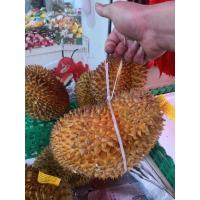 宽4.8mm长度65厘米 (100)条/包 榴莲扎带 大号加长 5*650白色4.8mm宽度100条装捆绑榴莲替代皮筋