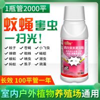 高浓缩杀虫剂1瓶 杀虫剂家用气雾床上室内灭小飞虫跳蚤虱子喷雾养殖场除蚊蝇