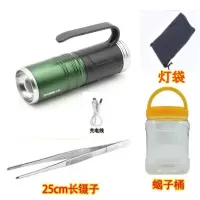超亮蝎子手提灯双光紫光白光 蝎子灯户外捕蝎可充电专用照逮蝎子灯头灯强光手提式超亮紫光白光