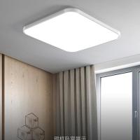 银色(不带花) 40*40圆-LED高亮24瓦限拍一 LED吸顶灯长方形遥控家用大气客厅灯具现代简约卧室灯阳台灯饰