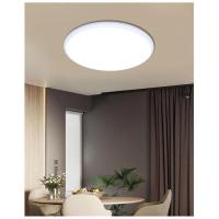 白边 25cm12W 白光 三防吸顶灯防蚊虫防尘防潮阳台厨卫浴室过道声控雷达感应吸顶灯