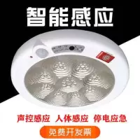 8W-声控感应灯 LED声控感应吸顶灯人体灯小区楼道过道工程自动消防应急吸顶灯