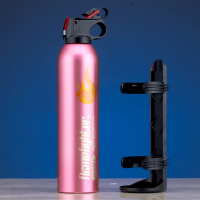 汽车载灭火器小型便携应急家用小轿车用干粉消防器材灭火