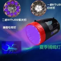 蝎子灯 蝎子灯紫光灯超亮强光专用捕蝎灯照捉蝎子紫外线可充电手电筒验钞