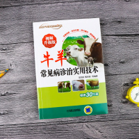 赠视频]牛羊常见病诊治实用技术 羊病诊治预防实用手册 养殖牛羊教程场地消毒防疫饲料全书职业兽医兽药科学配方技术一本通
