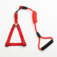 彩虹链红色两件套 XS(建议3-8斤) 狗链狗狗牵引绳泰迪遛狗绳狗项圈小型犬中大型犬链子金毛宠物用品